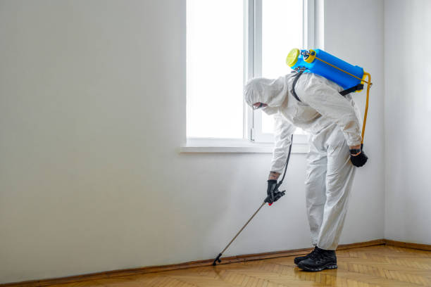 Best Best Pest Control Companies  in Springs, NY