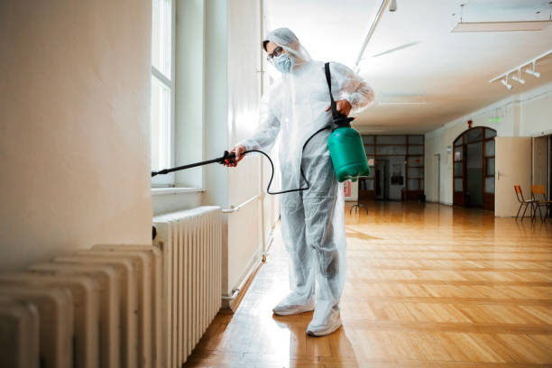 Best Flea Control Services  in Springs, NY